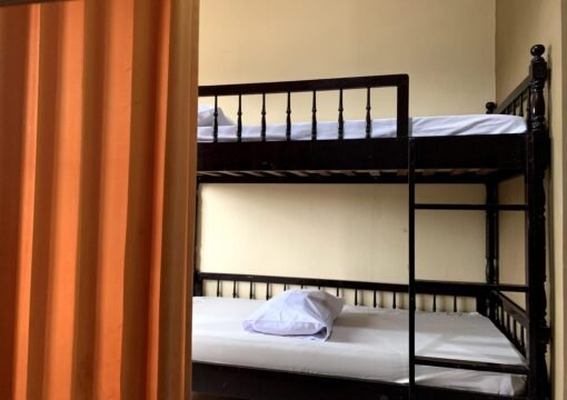 Dormitory Palm