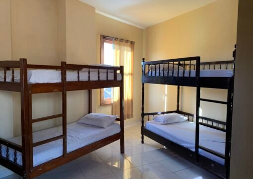 Dormitory Palm